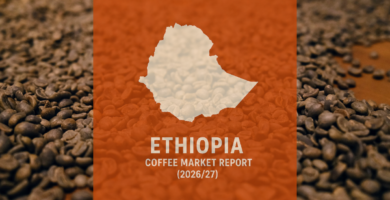 Production Up, Government Promoting Modernization