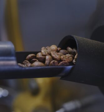 What Are the Best Dark Roast Coffees Right Now?